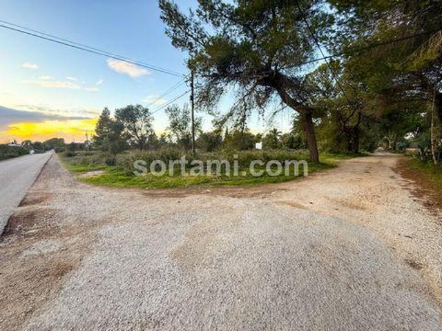 Terrenos Silves Faro DS96939147