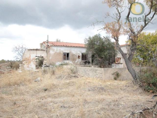 Terrenos Silves Silves DLS102241071
