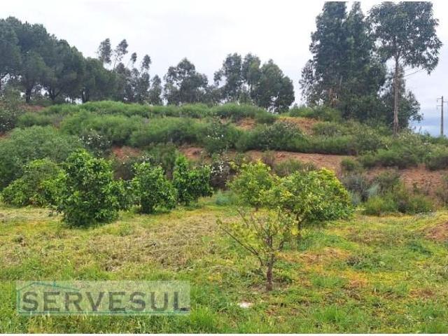 Terrenos Silves Silves DLS102441737
