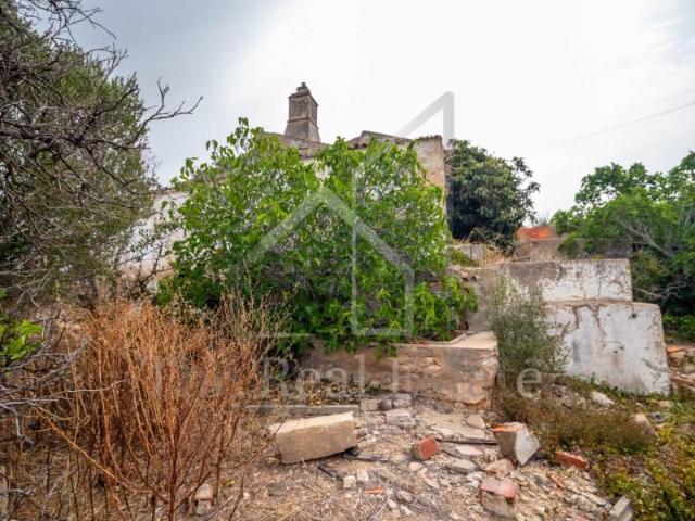 Terrenos Silves Silves DLS95535974