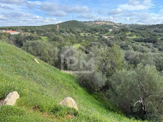 Terrenos Silves Silves DS87773087