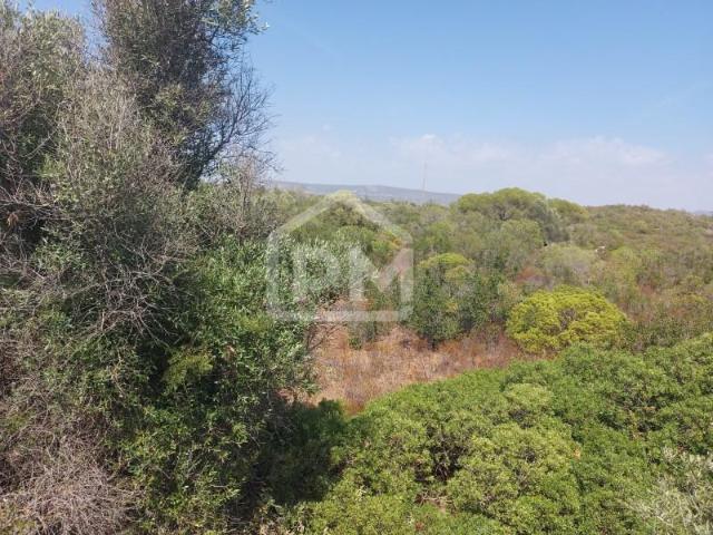 Terrenos Silves Silves DS87065179