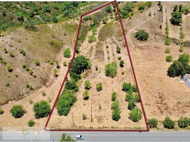 Terrenos Silves Silves DS93177432