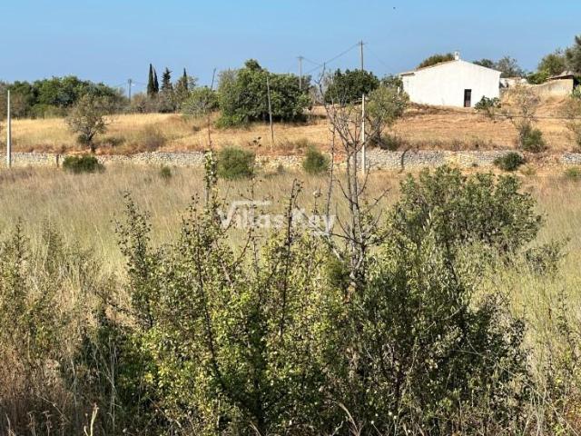 Terrenos Silves Silves DS94152300