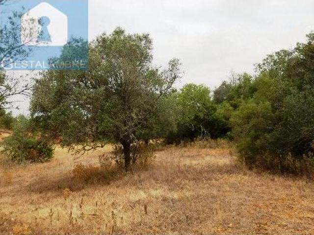 Terrenos Silves Silves DS98775811