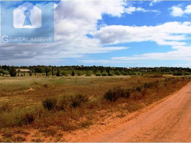Terrenos Silves Silves DS98775815