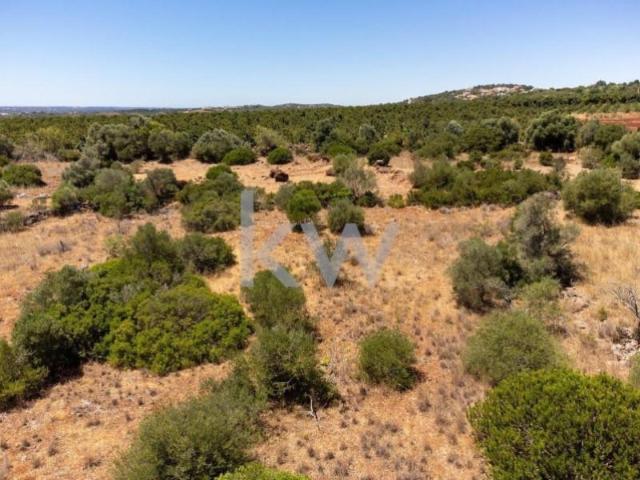 Terrenos Silves Silves DS98275614