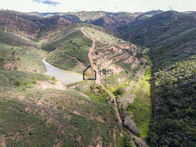 Terrenos Silves Silves DS99567109