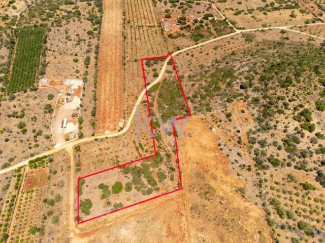 Terrenos Silves Silves DS99193773