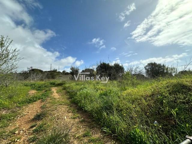 Terrenos Silves Silves DS99240382