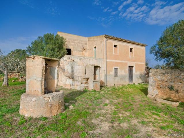 Terrenos Son Negre Spanien LS96272555