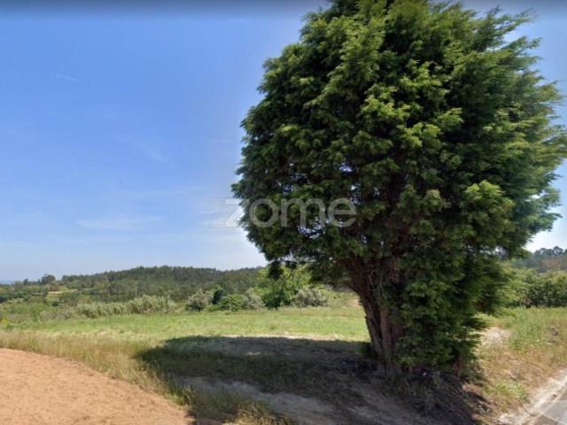 Terrenos Soure Soure DS101501608