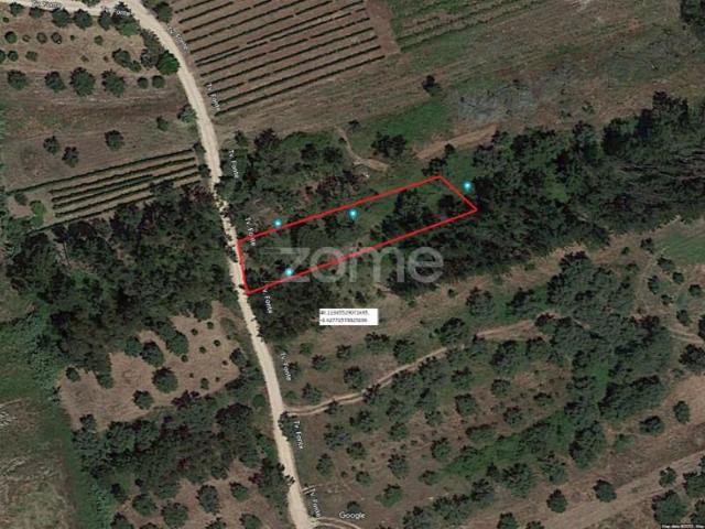 Terrenos Soure Soure DS101741930