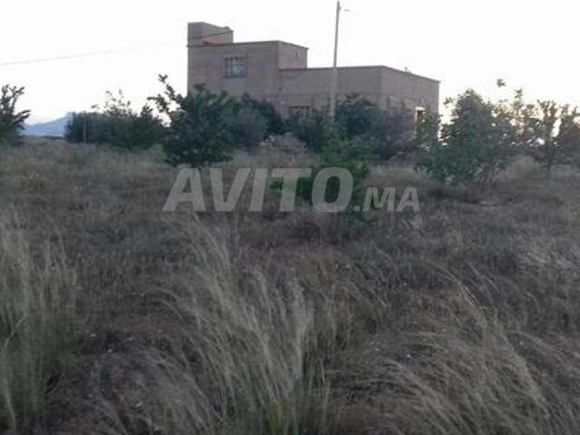 Terres agricoles à Sidi Moussa