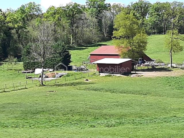 Terres Agricoles 62720 m²