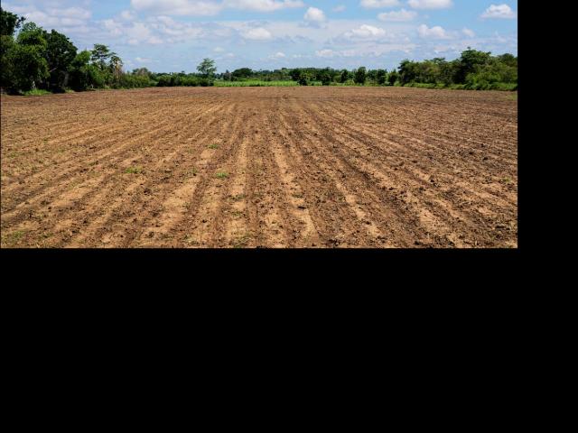 TERRESS AGRICOLES CULTIVABLES