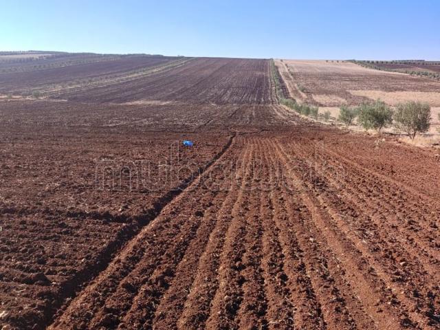 Terrian agricole à vendre