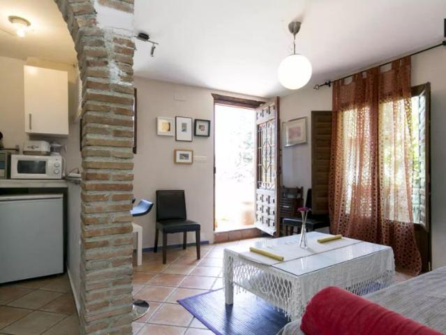 Terrific 1 bedroom apartment for rent near Paseo de los Tristes in Albaicín