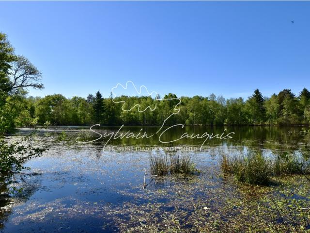 Territoire de Chasse de 171 hectares en Sologne 1m² Brinon sur Sauldre