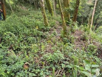TERRRENO EN VENTA EN LAGUNILLAS, XICOTEPEC
