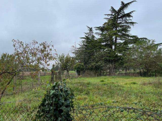Terssac Vente Terrain 81