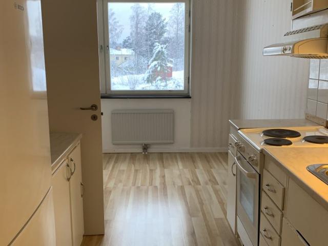Textilvägen, Sågmyra