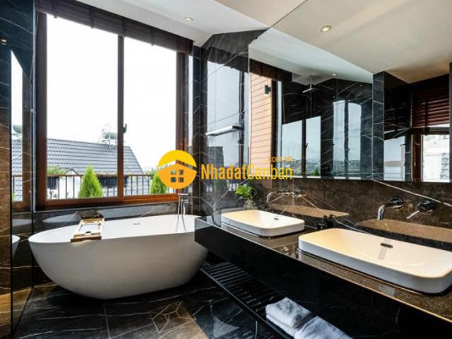 Thức giấc giữa thung lũng sương mờ biệt thự bạch đàn trắng