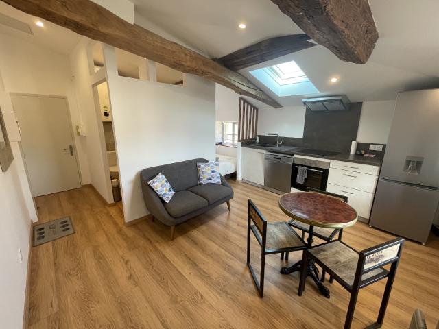 THOISSEY Studio rénové en plein cœur du village