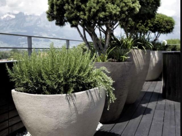 Thoiry Vente Appartement 01