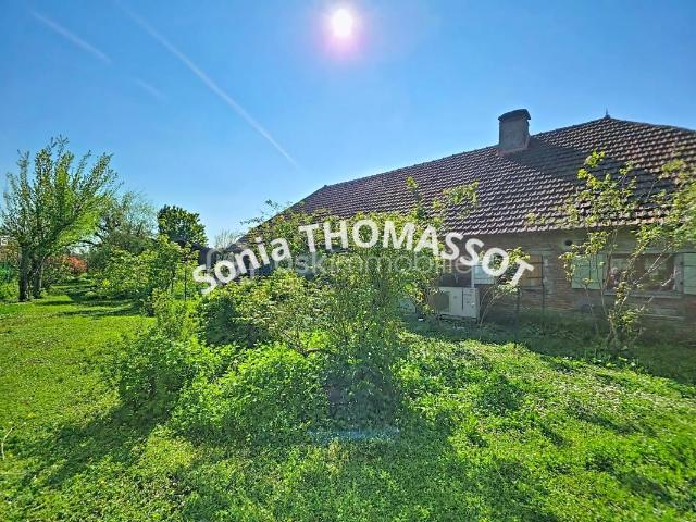 Thomassot Sonia