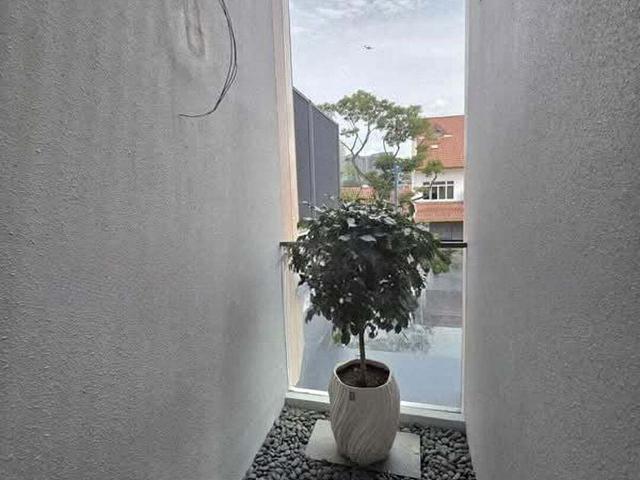 Thomson Ridge Estate D20, Semi