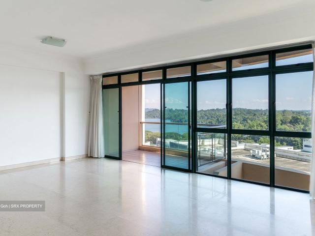 Thomson 800 D11, Condominium