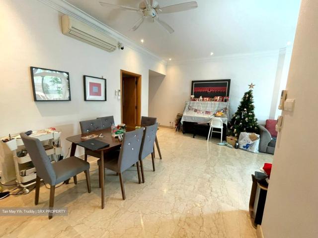 Thomson 800 D11, Condominium