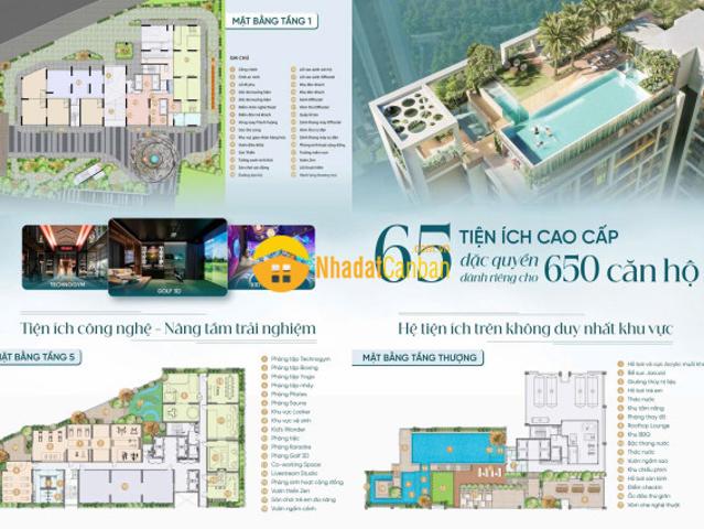 Thông tin dự án picity skyzen dĩ an