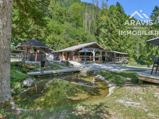THONES, maison à vendre, 7 pièces, 234 m²