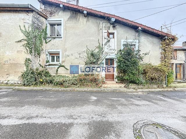 Thonnance lès Joinville Vente Maison 52