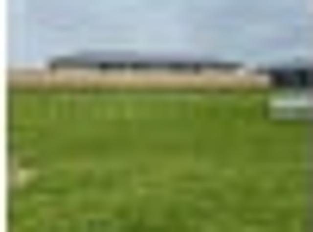Thorncombe Park Te Awamutu 5 sections left!