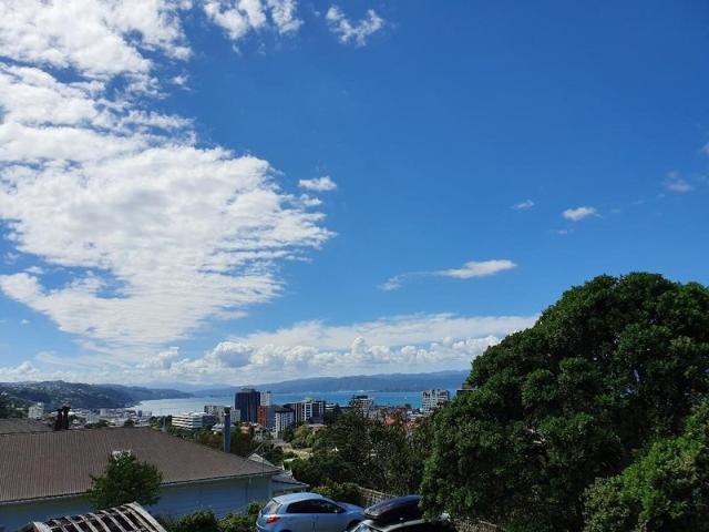 thorndon, 1 bedroom