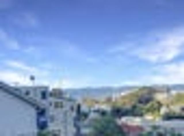 Thorndon, 3 bedrooms, $950 pw