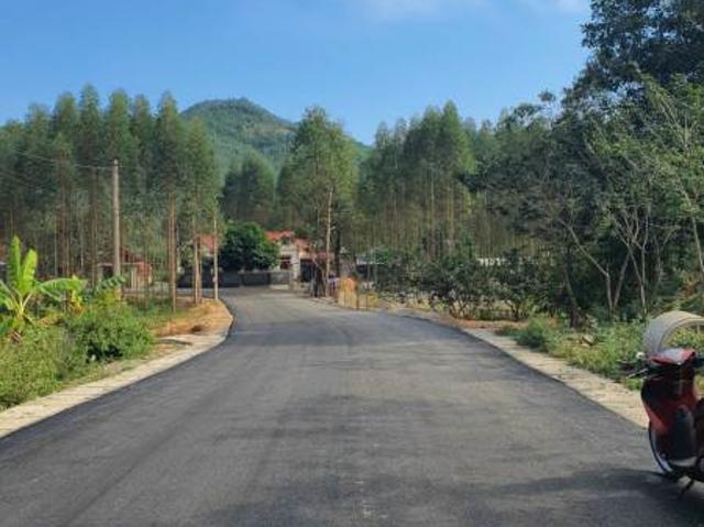 Thanh lí gấp lô hoa hậu 2.435m2 nằm trên trục đường liên tỉnh, gần hồ suối lạnh