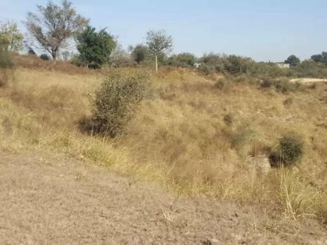 Thanil kamal chakwal pakisatn Chakwal ID 50063