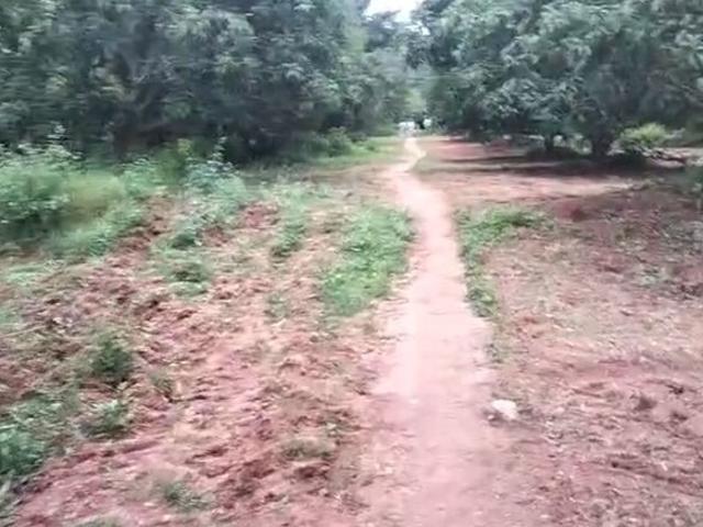 Tharalu, South Bangalore 133 Acre Plot in Tharalu Bangalore Listing ID: #10279