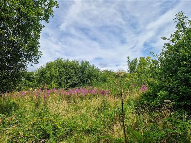 The Cottage, Woodtown, Mayglass, Wexford Keane Auctioneers 4942 MyHome. Ie Residential
