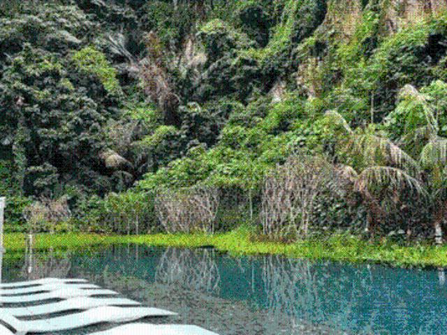 The Cove Hillside Residence