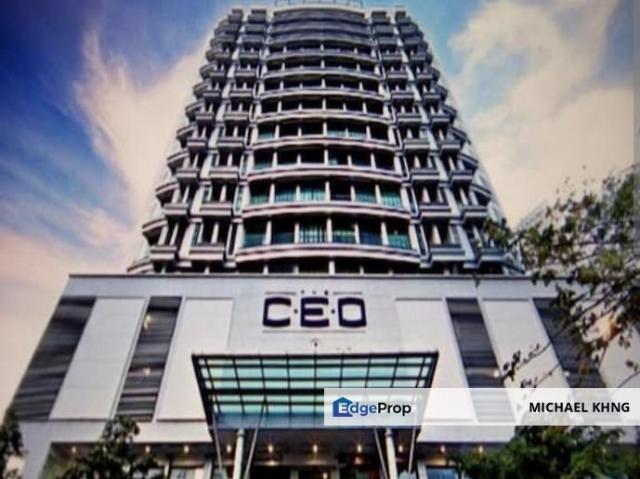 The CEO