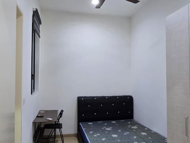 the cruise, condominium