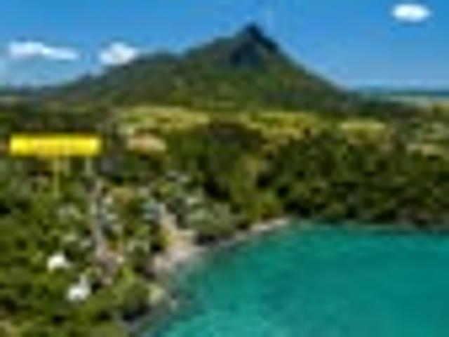 The Bay View Bounty