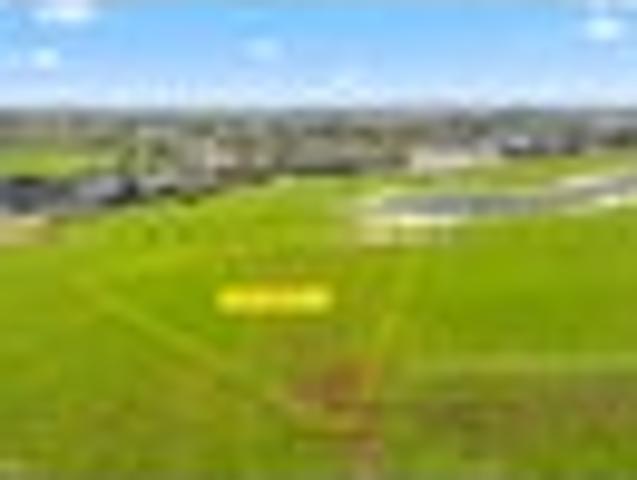 The Best of Pukekohe
