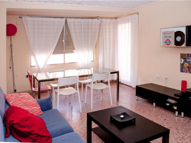 The Big Erasmus Apartment