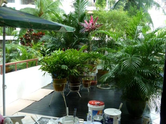 The Dairy Farm D23, Condominium